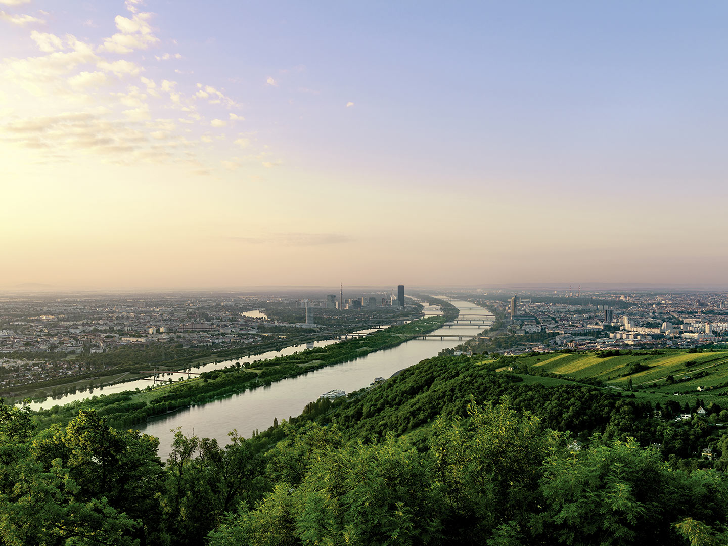 Foto: Services Green Meeting Wien Blick auf die Donau
