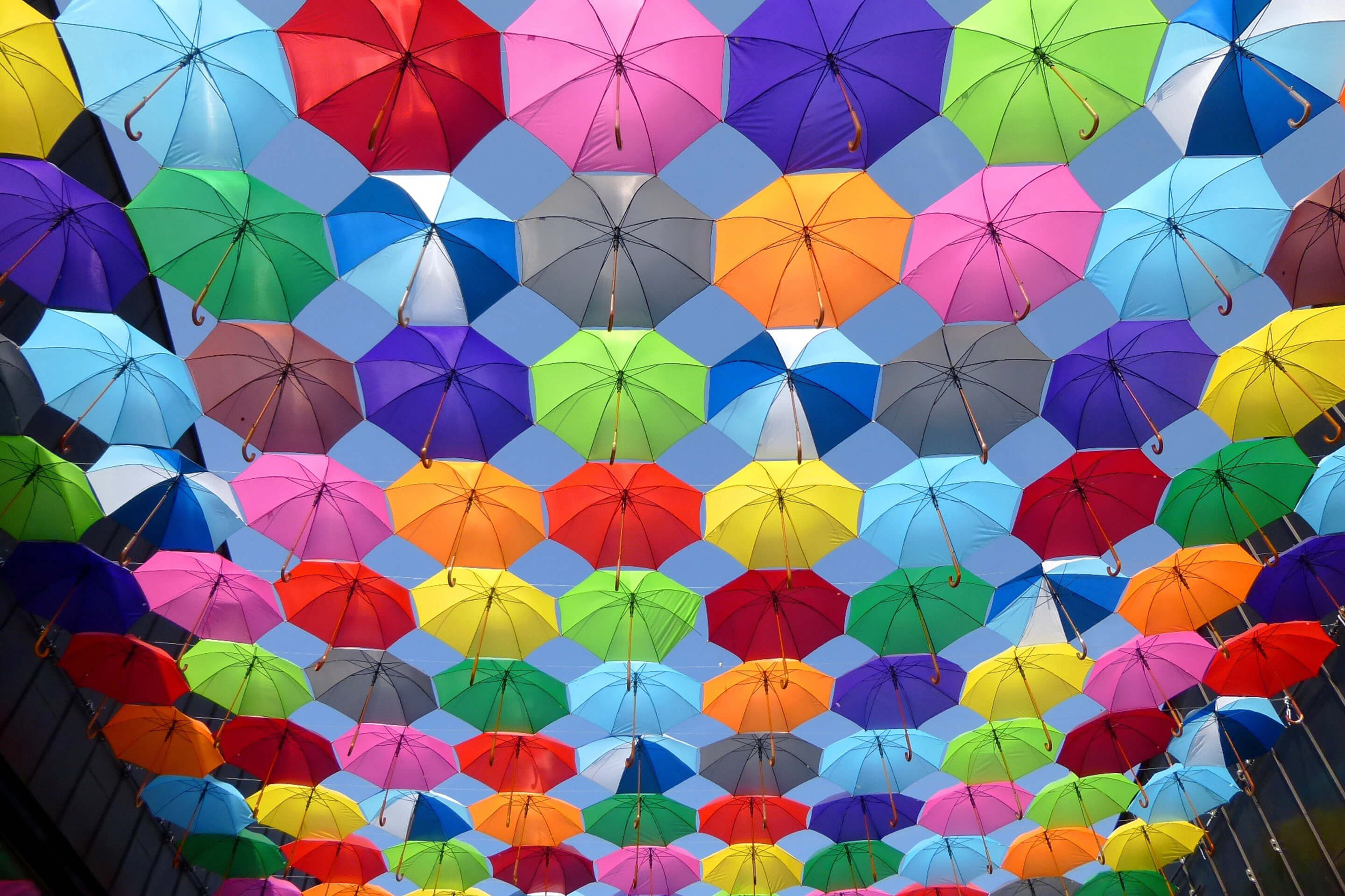Foto: bunte Regenschirme
