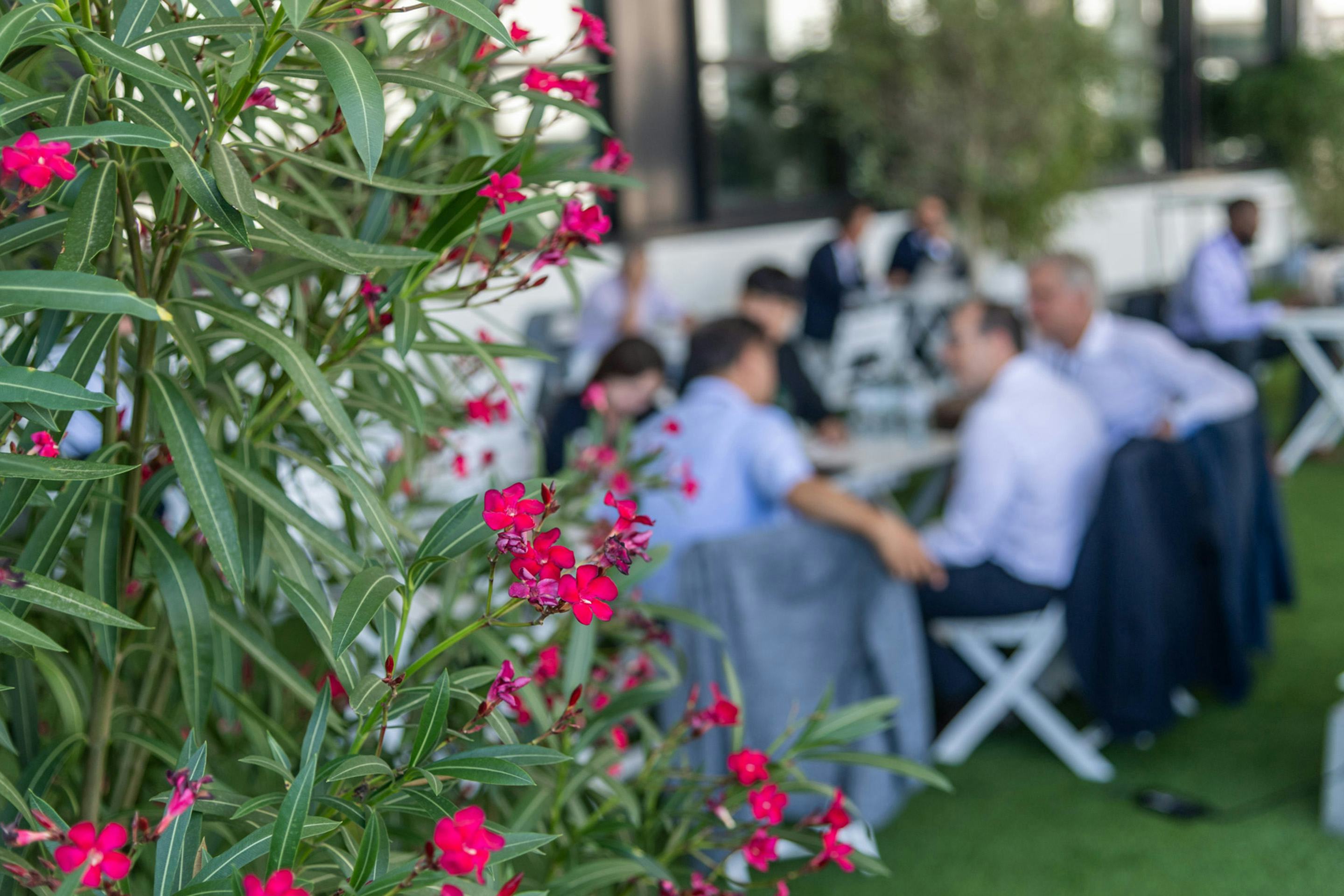 Foto: Orleanderbusch und Tische mit Menschen auf einer Terrasse
