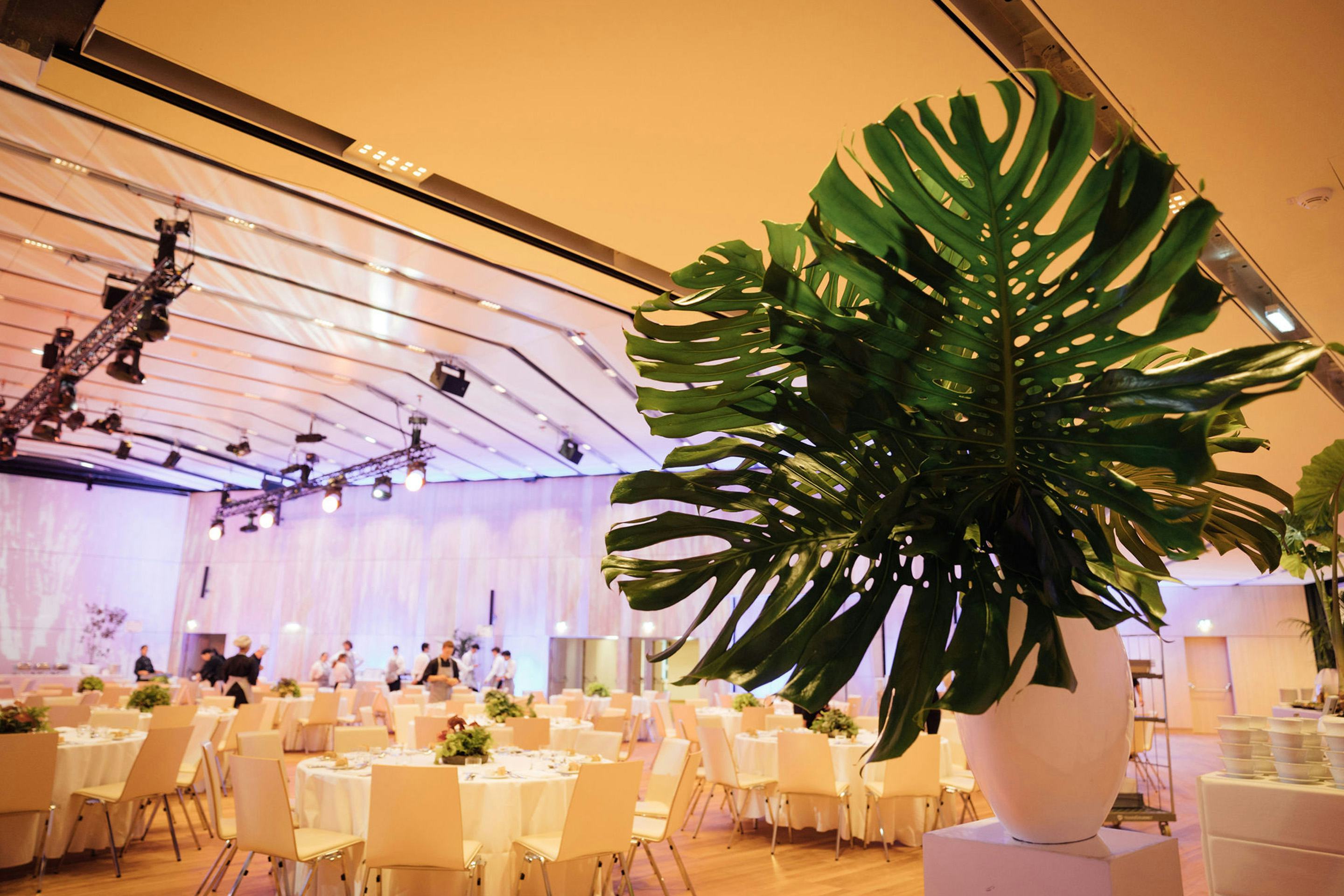 Foto: Runde Gala-Tische mit Stuehlen in einem Raum mit Holzboden und einigen Menschen, große Pflanze