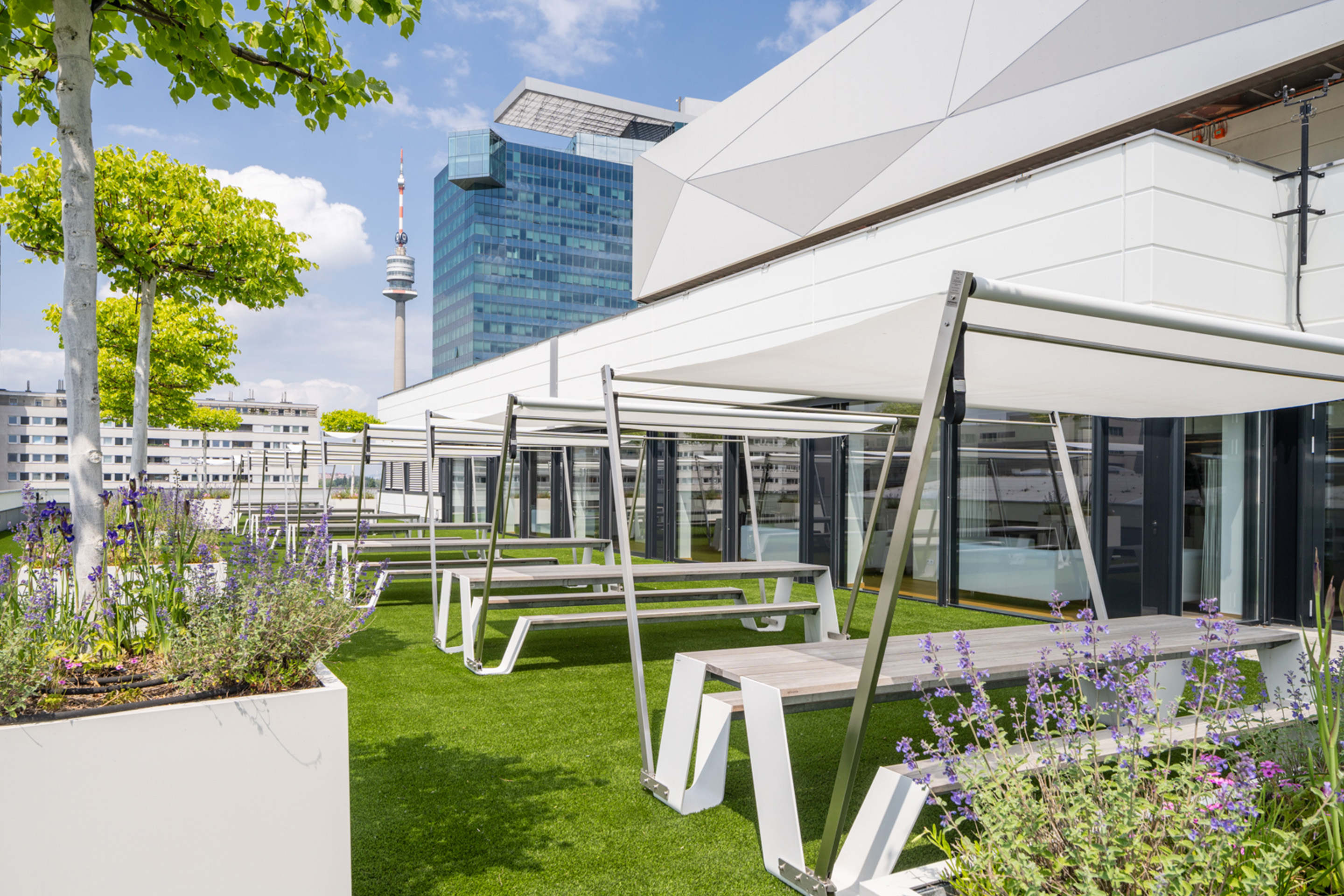 Foto: Terrasse mit weissem Gebaeude, Baeumen in Toepfen, Sonnensegeln und gruenem Teppich. Im Hintergrund ist ein Hochhaus.