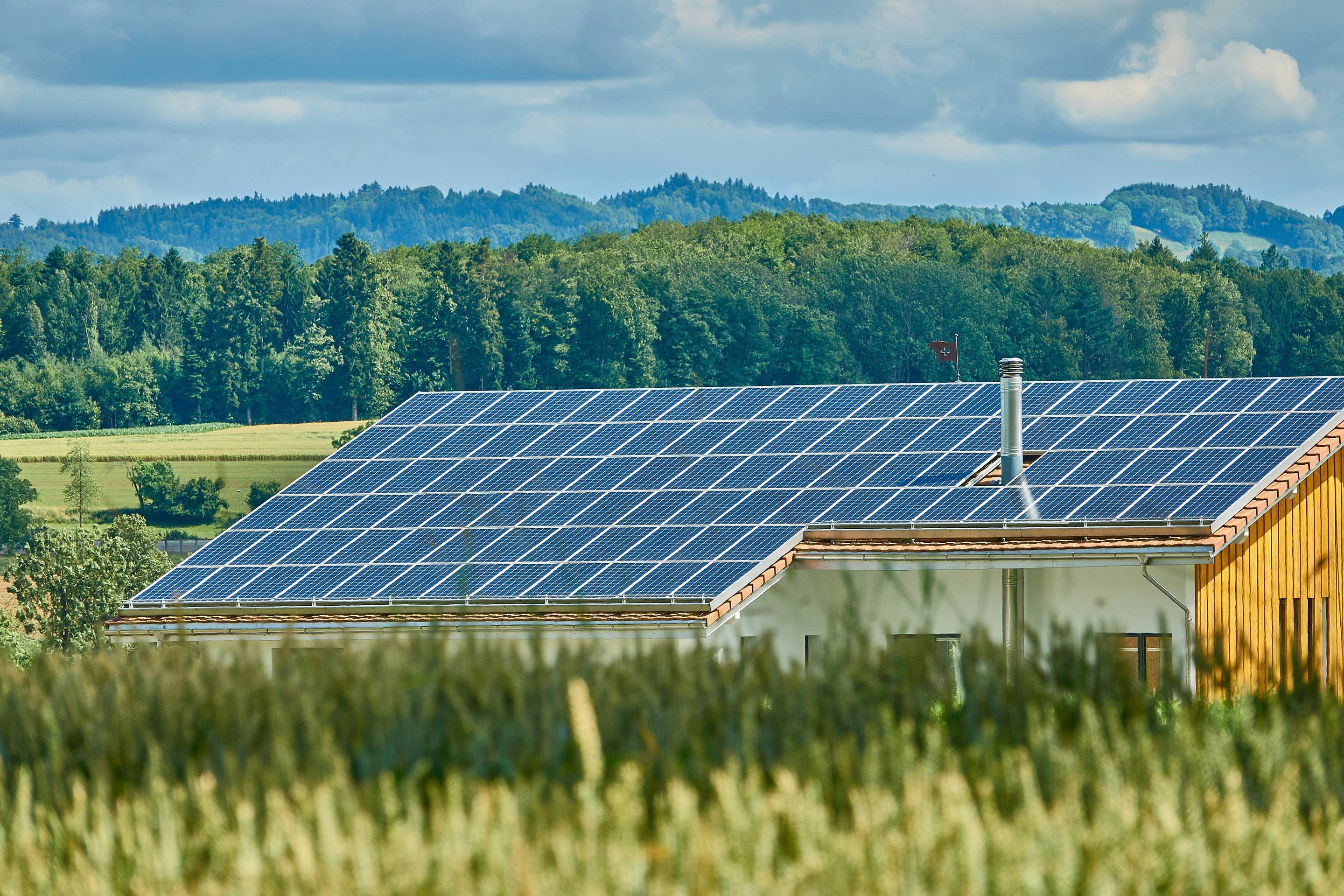 Foto: Photovoltaik Paneele auf einem Haus mit Wald im Hintergrund